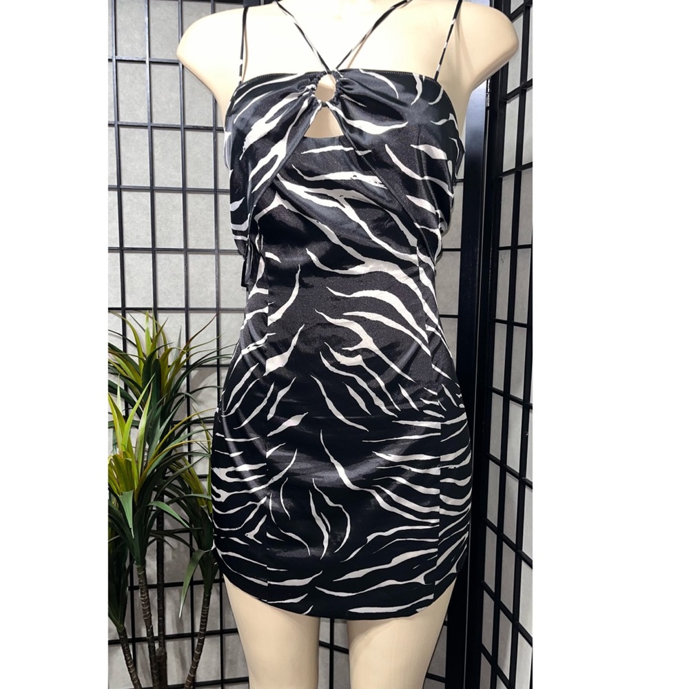 COPY - Zara Zebra Print Mini Dress